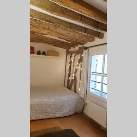 Luxe Appartement In Paris شقة *