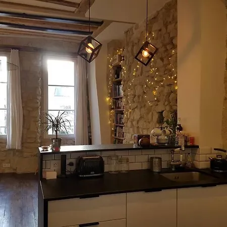 Luxe Appartement In Paris شقة باريس